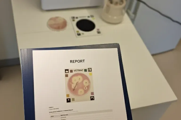 VetBac diagnostic process