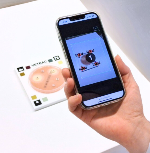 VetBac antibiogram test plate with antibiotic susceptibility zones